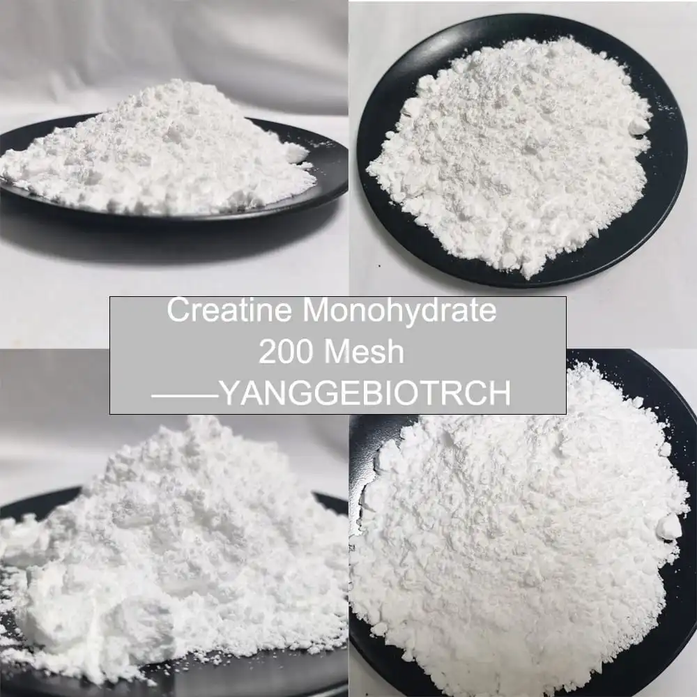 Creatine Monohydrate Powder (80-200 Mesh) Creatine Monohydrate Powder (80-200 Mesh)